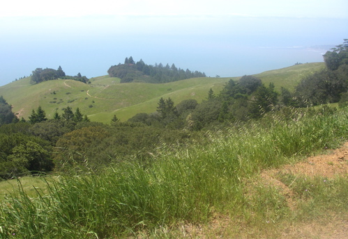 Coastal Trail and Stinson Beach